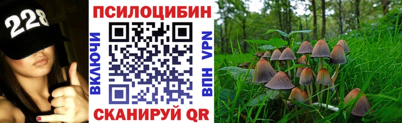 Галлюциногенные грибы мицелий Катав-Ивановск